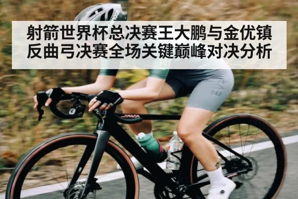 射箭世界杯总决赛王大鹏与金优镇反曲弓决赛全场关键巅峰对决分析 | kaiyun